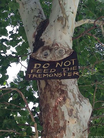Ne etesd a fa szörnyet!